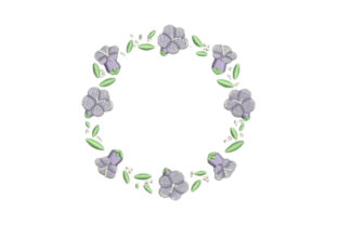 Jacaranda Frame: A Designer's Review for Boutique Apparel